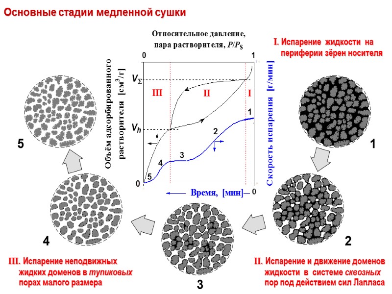 Основные стадии медленной сушки 1 3 4 5 2 II. Испарение и движение доменов